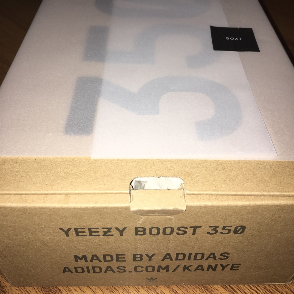 Adidas yeezy boost 350 v2